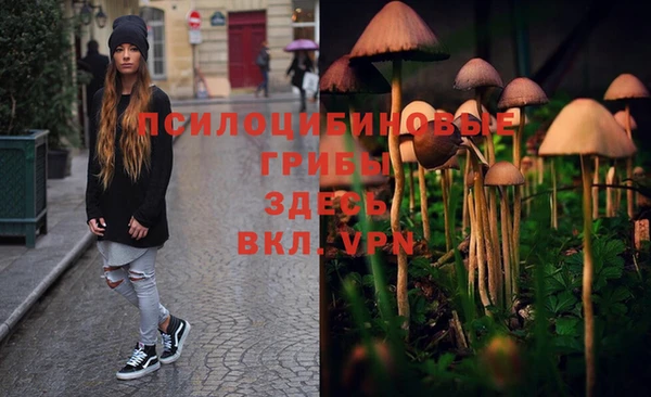 mix Баксан