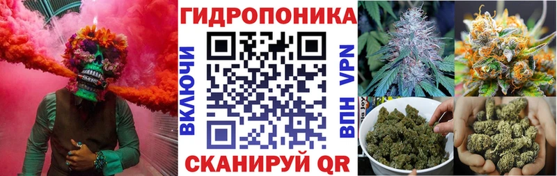 Конопля семена  это состав  Семилуки  магазин продажи  